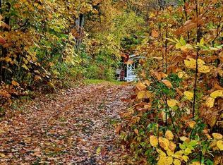 3325 Lisk Rd, Odessa, NY 14869