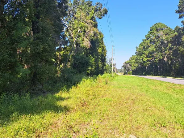 SW Elim Church Rd, Fort White, FL 32038