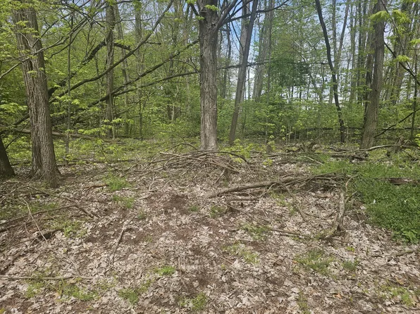 Parkway Ave, Three Rivers, MI 49093