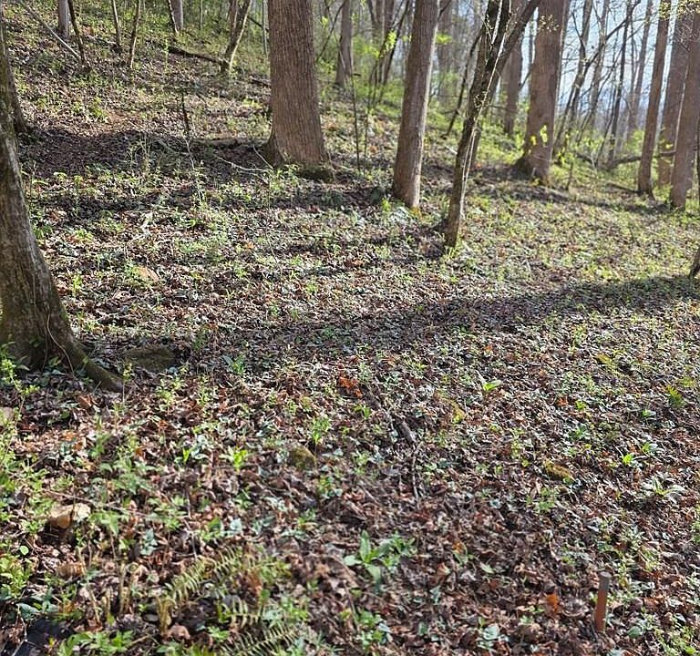 1st image of 0 Robinhood Ln