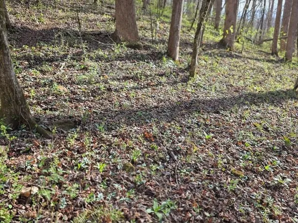 0 Robinhood Ln, Franklin, NC 28734