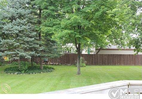 ORIOLE BACK YARD2.jpg