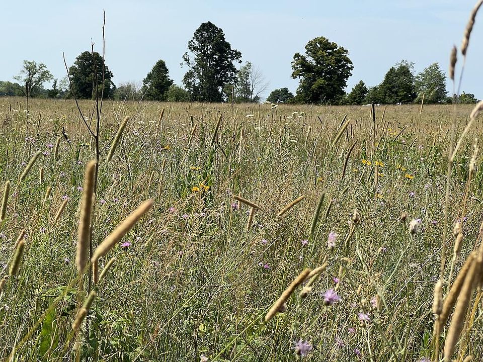 1st image of County Road F