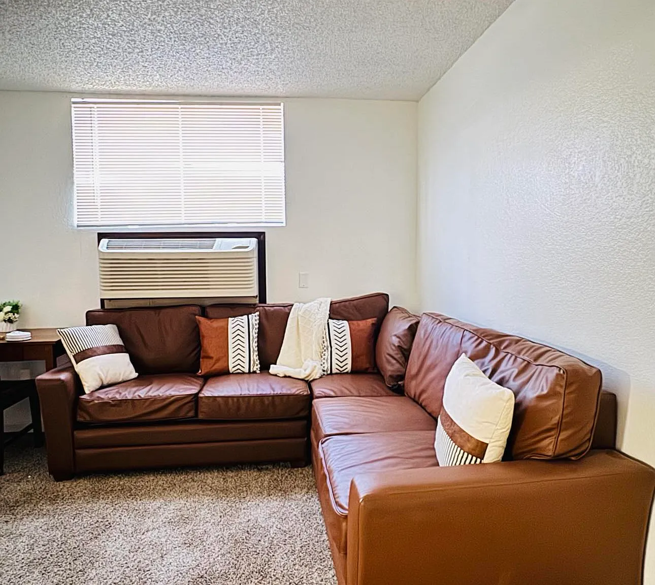 Studio, 500 sqft, $845 — Photo 2