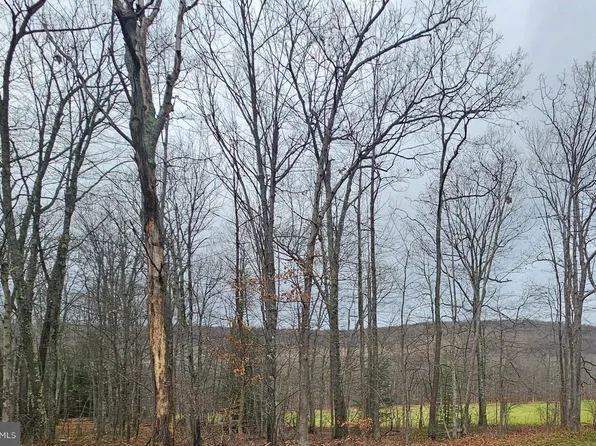 Bittinger Rd, Swanton, MD 21561