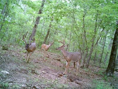 Madison 3345 Truenorth Witter, Witter, AR, 72776