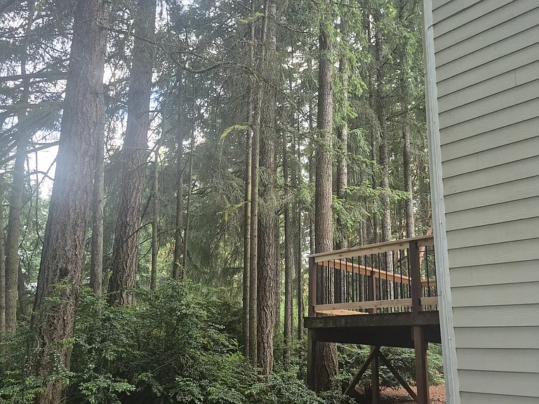 Back of house