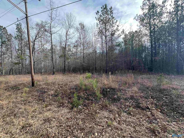 23/ACRE S Northwood Dr, Centre, AL 35960