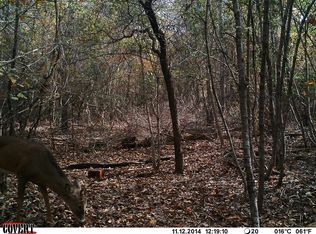 Bickley Rd, Butler, GA 31006