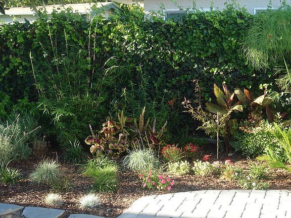 Part of Beautiful Back Yard