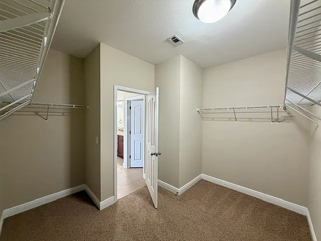 Primary Closet