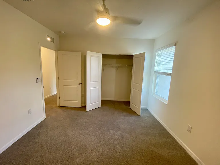33367 Apricot Tree Ct — Photo 75