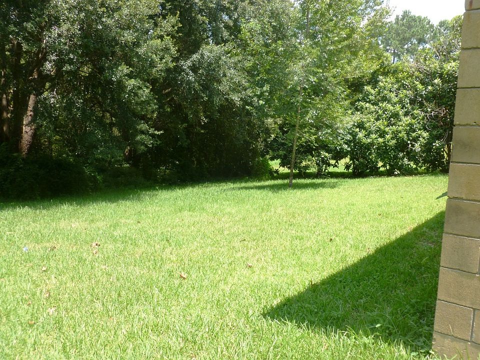 Spacious Backyard