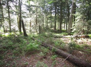 0 S Shore Acres Rd, Old Forge, NY 13420