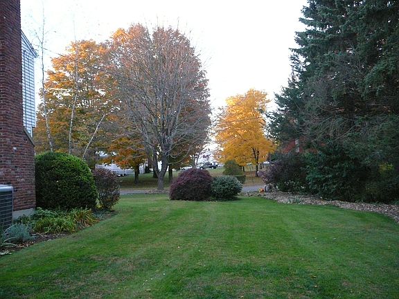 Side yard - east view.