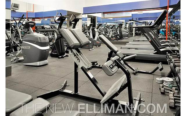 Rented by Douglas Elliman | media 39