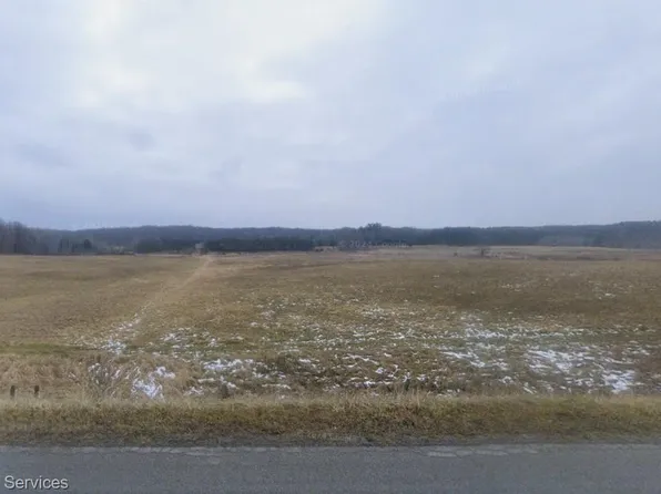 4771 E County Line Rd, South Branch, MI 48761