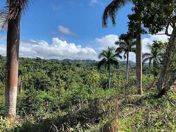 View from area to build