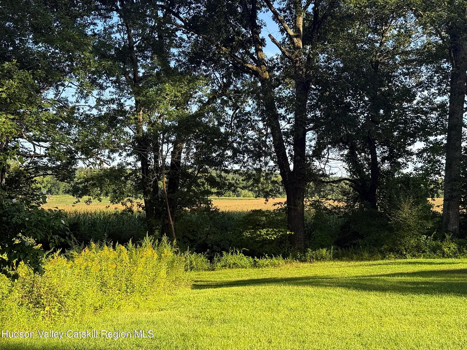 1 bed, 1.0 bath, 1612 sqft, $2,950 — Photo 4