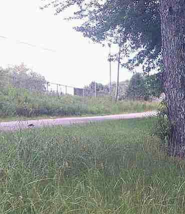 5th image of 141 Lee Rd