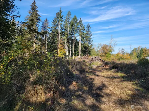 209 346th Street S, Roy, WA 98580