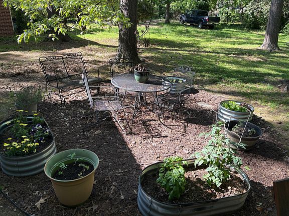 More of the back yard