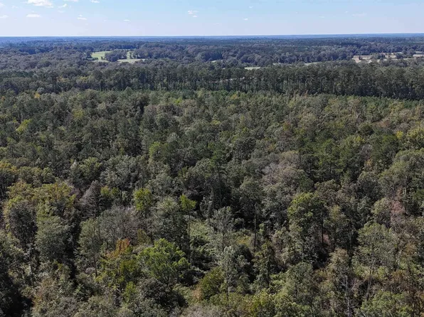 Smit 1 B 3 La Hwy #63, Clinton, LA 70722