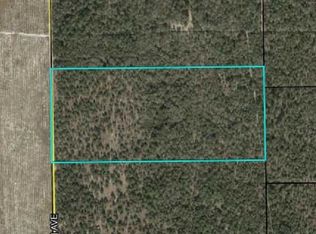 Vacant Southwest Ave #40, Jasper, FL 32052
