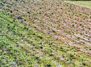 15500 SW 232 St, Homestead, FL 33031