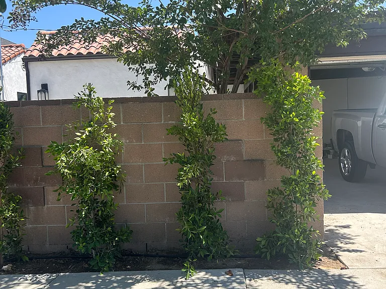 926 E Dryden St #ADU — Photo 2