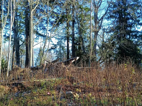 49 K Tulalip Way, Hat Island, WA 98206
