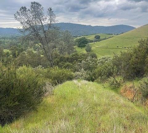 3rd image of 6600 Prospectors Rd