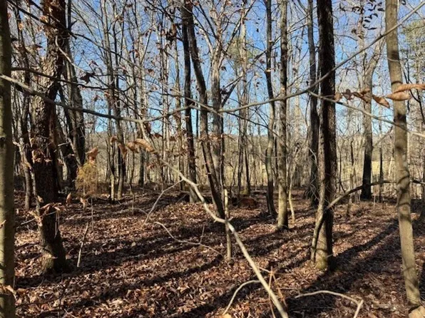 4 County Road 751, Valley Head, AL 35989