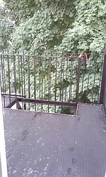 Rented by Superior Homes