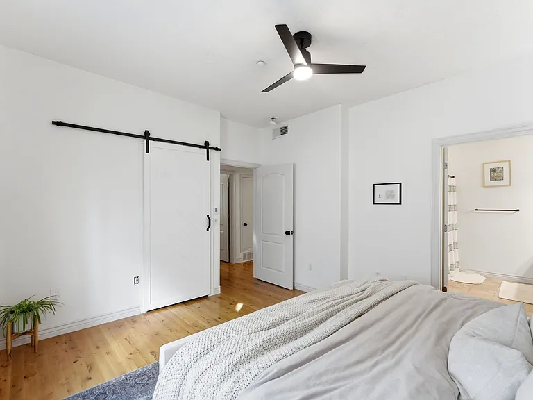 Master bedroom with walk-in closet
