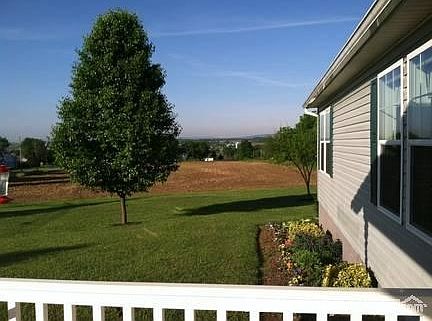 large yard with annuals and perennials