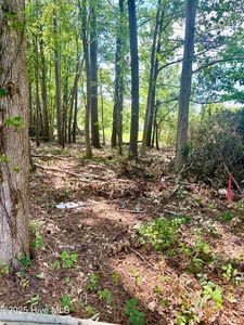 Near 107 Sykes Street, Tabor City, NC, 28463