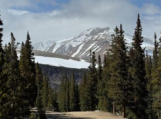 630 Silverheels Place, Fairplay, CO 80440