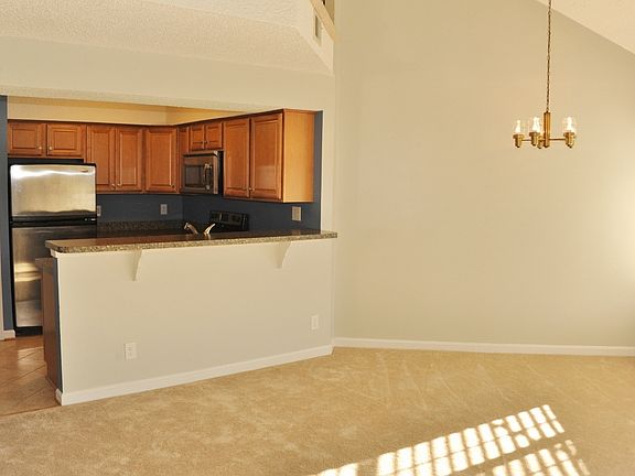 Living-Kitchen Area
