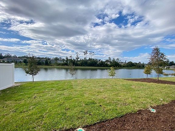 Backyard Pond View