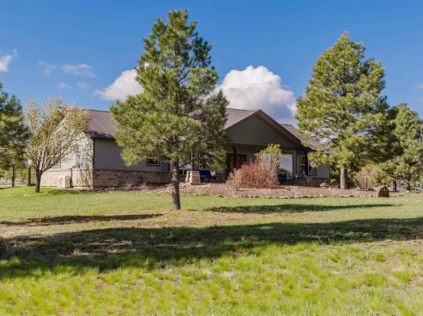 141 Vista San Juan, Pagosa Springs, CO 81147