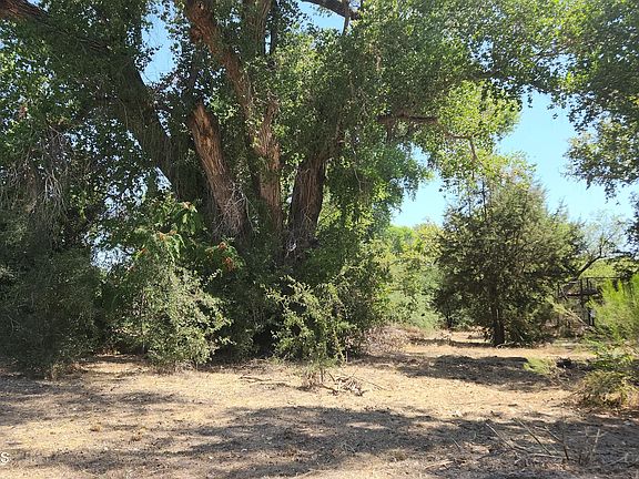 2nd image of 3563 E Cactus Blossom Lane