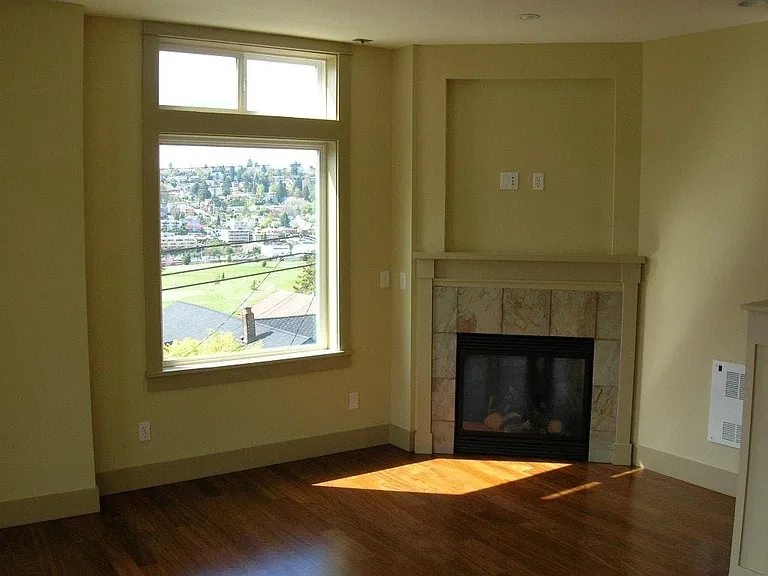 gas fireplace