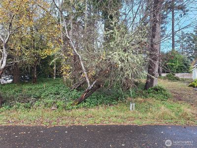 510 Chickamin Court SE, Ocean Shores, WA, 98569