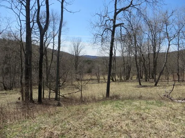 0 Old Bernice Rd #Lr-17, Dushore, PA 18614