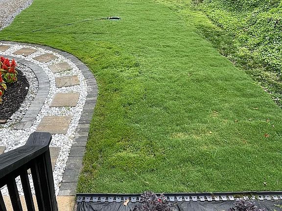 Bermuda grass