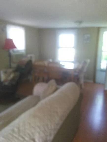 217 11th St #2 — Photo 5