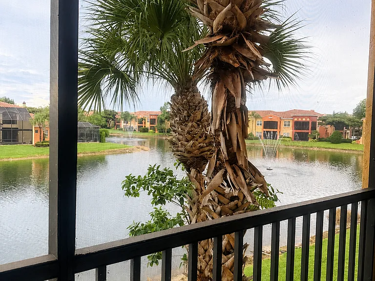 Patio view