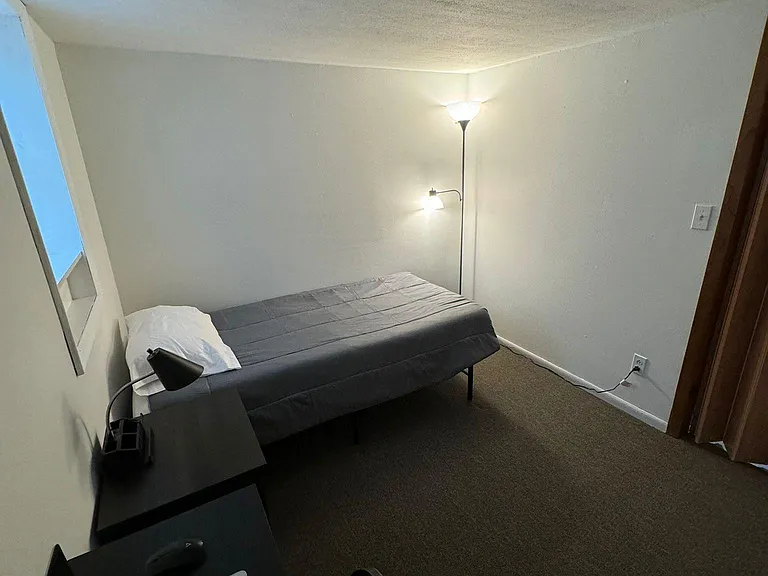 727 N Alvord St #BASEMENT — Photo 10