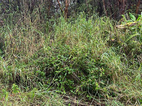 4th image of Road 14 Lot 867